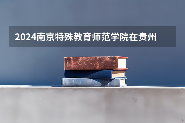 2024南京特殊教育师范学院在贵州招生计划表
