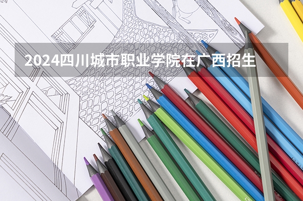 2024四川城市职业学院在广西招生计划表