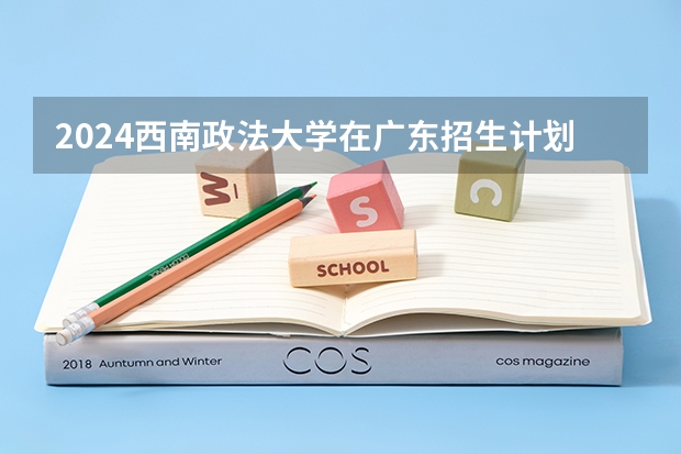 2024西南政法大学在广东招生计划表