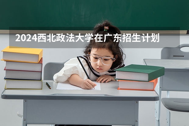 2024西北政法大学在广东招生计划表