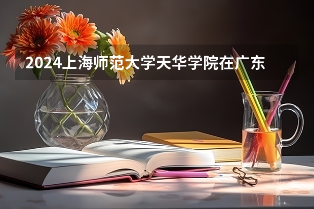 2024上海师范大学天华学院在广东招生计划表