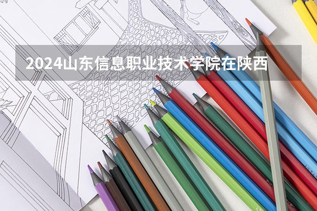 2024山东信息职业技术学院在陕西招生计划表