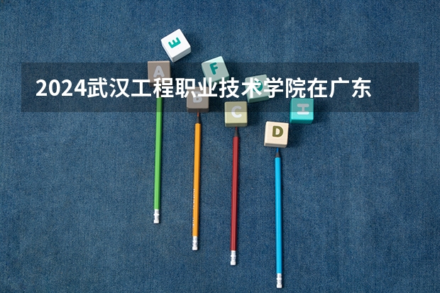 2024武汉工程职业技术学院在广东招生计划表