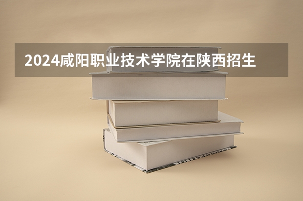 2024咸阳职业技术学院在陕西招生计划表
