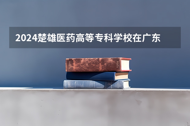 2024楚雄医药高等专科学校在广东招生计划表