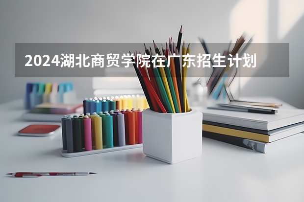 2024湖北商贸学院在广东招生计划表