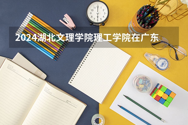 2024湖北文理学院理工学院在广东招生计划表