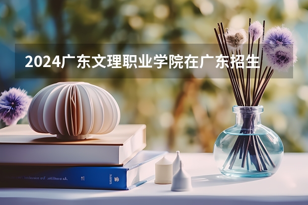 2024广东文理职业学院在广东招生计划表
