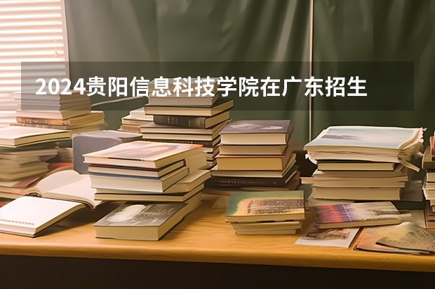 2024贵阳信息科技学院在广东招生计划表