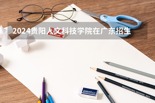2024贵阳人文科技学院在广东招生计划表