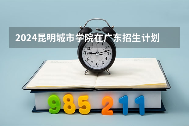 2024昆明城市学院在广东招生计划表