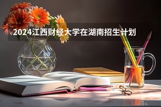 2024江西财经大学在湖南招生计划表