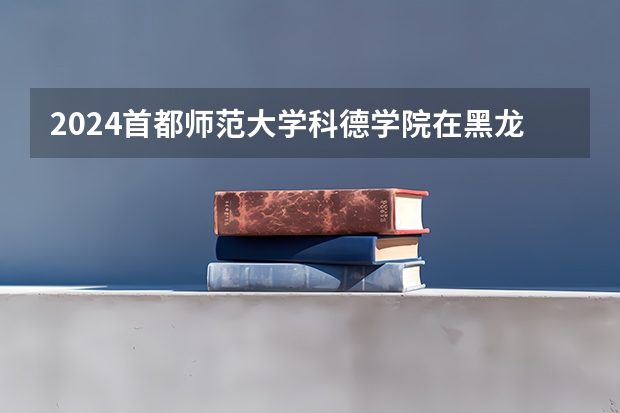 2024首都师范大学科德学院在黑龙江招生计划表