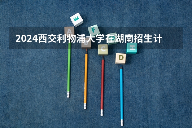 2024西交利物浦大学在湖南招生计划表