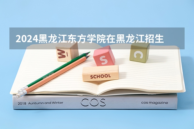 2024黑龙江东方学院在黑龙江招生计划表