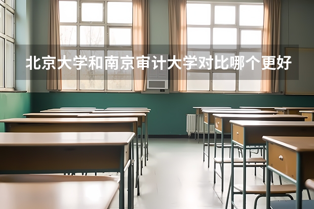 北京大学和南京审计大学对比哪个更好