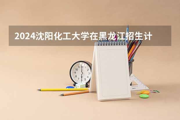 2024沈阳化工大学在黑龙江招生计划表