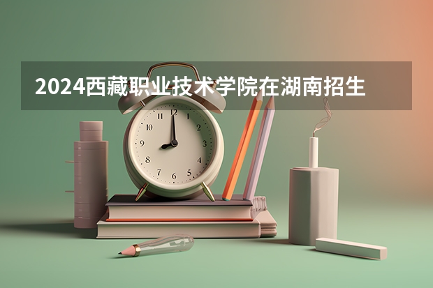 2024西藏职业技术学院在湖南招生计划表