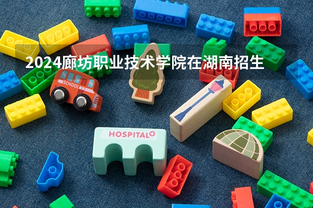 2024廊坊职业技术学院在湖南招生计划表