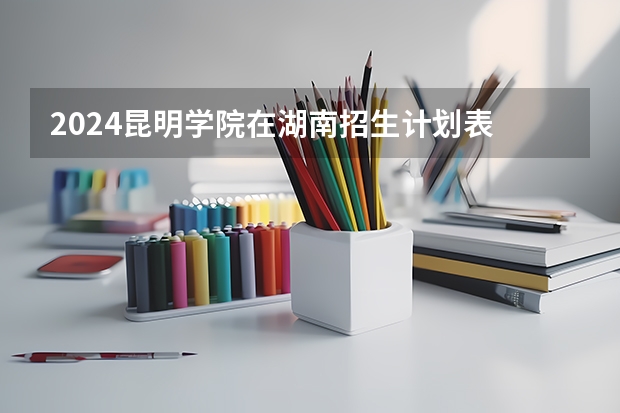 2024昆明学院在湖南招生计划表