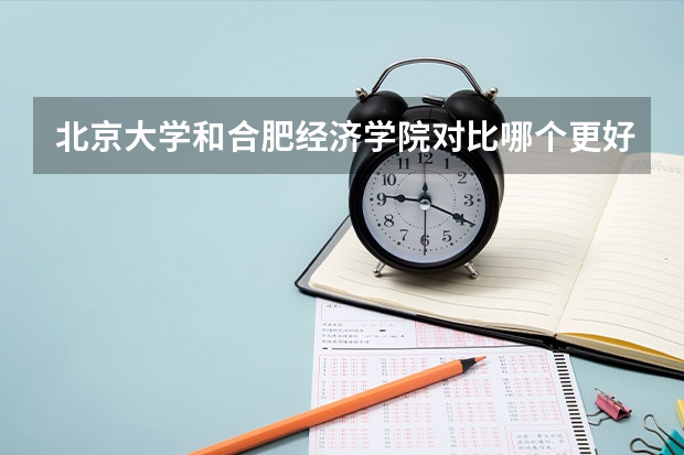 北京大学和合肥经济学院对比哪个更好