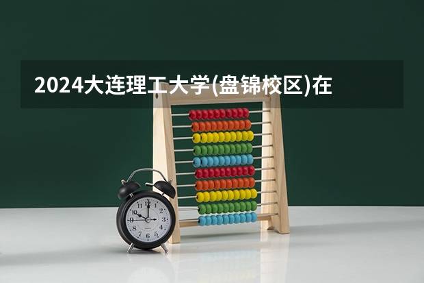 2024大连理工大学(盘锦校区)在黑龙江招生计划表