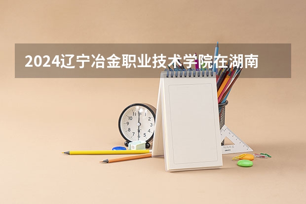 2024辽宁冶金职业技术学院在湖南招生计划表