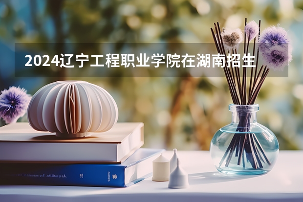 2024辽宁工程职业学院在湖南招生计划表