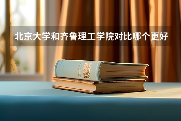 北京大学和齐鲁理工学院对比哪个更好