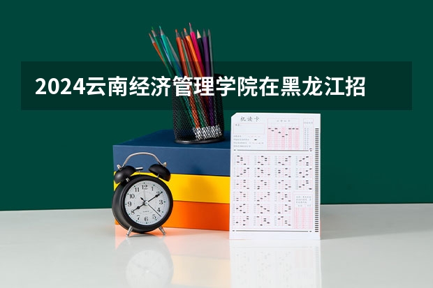 2024云南经济管理学院在黑龙江招生计划表