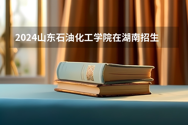 2024山东石油化工学院在湖南招生计划表