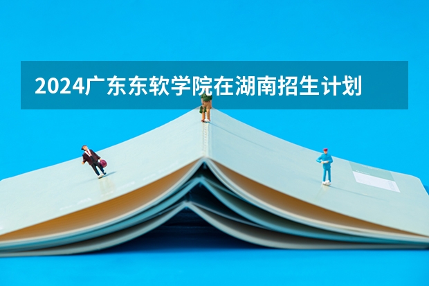 2024广东东软学院在湖南招生计划表
