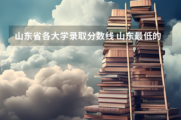 山东省各大学录取分数线 山东最低的二本大学 山东本科录取最低位次