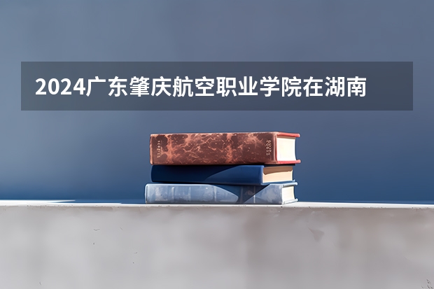 2024广东肇庆航空职业学院在湖南招生计划表
