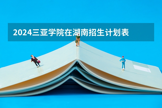 2024三亚学院在湖南招生计划表