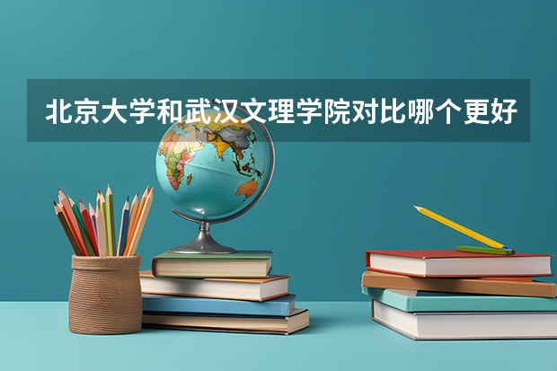 北京大学和武汉文理学院对比哪个更好