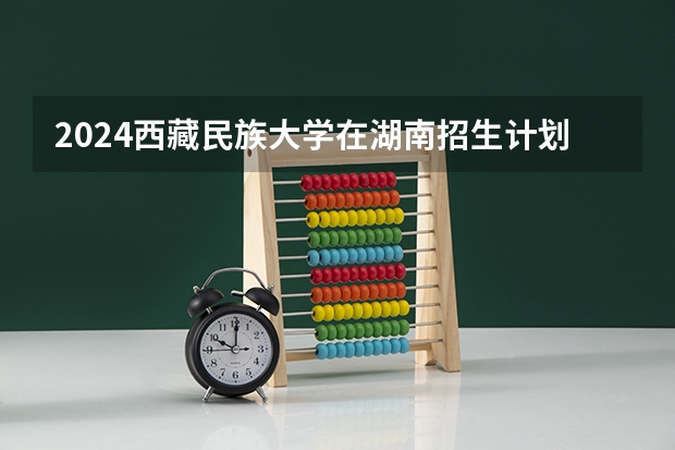 2024西藏民族大学在湖南招生计划表