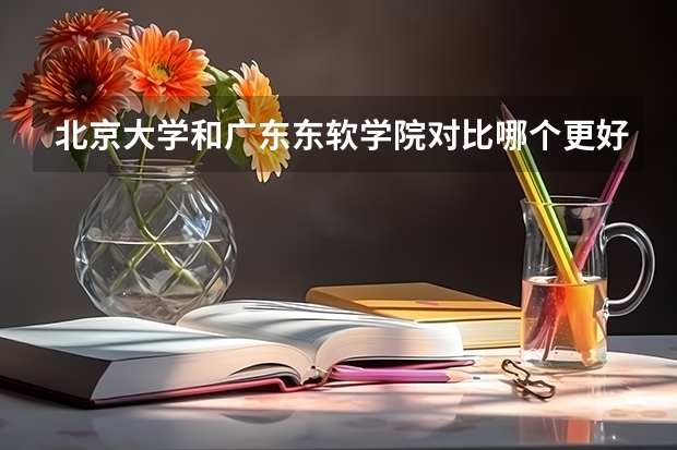 北京大学和广东东软学院对比哪个更好