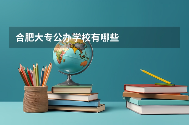 合肥大专公办学校有哪些