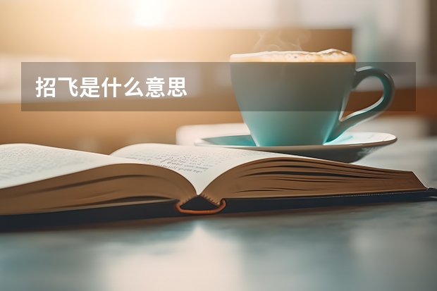 招飞是什么意思