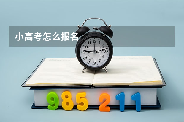 小高考怎么报名