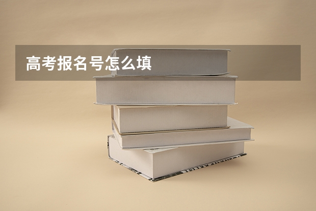 高考报名号怎么填