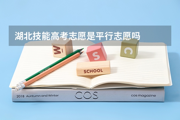 湖北技能高考志愿是平行志愿吗