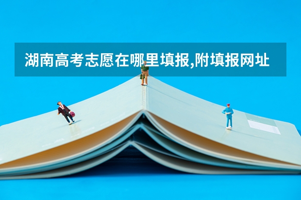 湖南高考志愿在哪里填报,附填报网址入口和指南