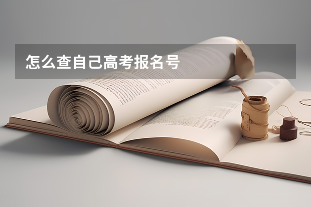 怎么查自己高考报名号