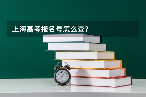 上海高考报名号怎么查？
