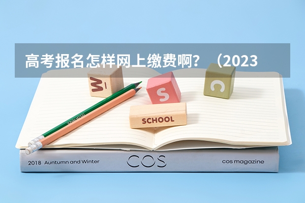 高考报名怎样网上缴费啊？（2023山东高考报名缴费入口）