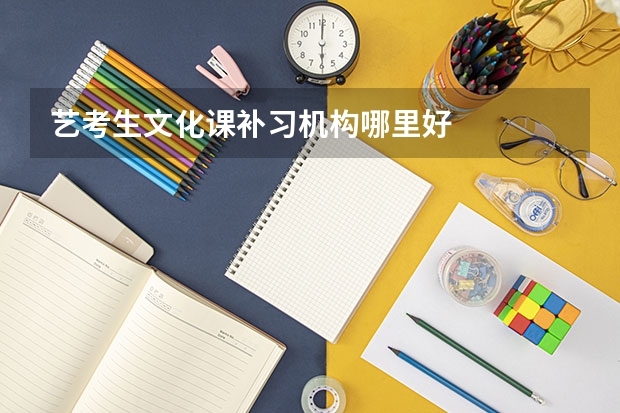 艺考生文化课补习机构哪里好