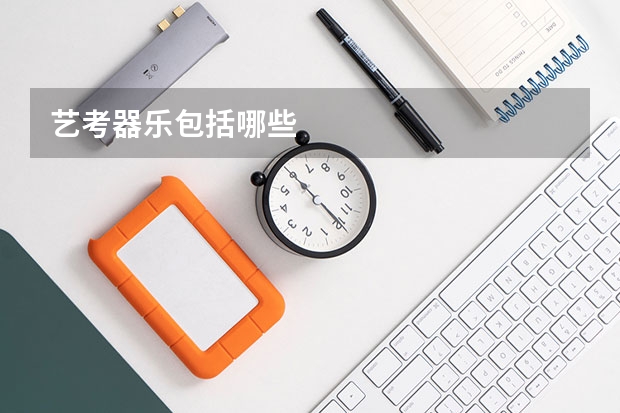 艺考器乐包括哪些