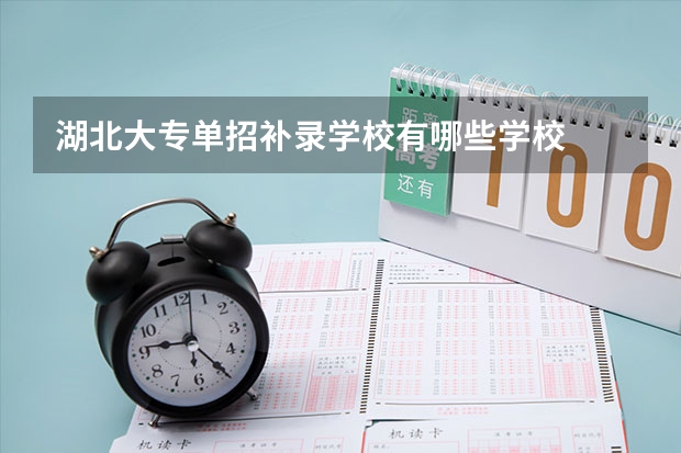 湖北大专单招补录学校有哪些学校